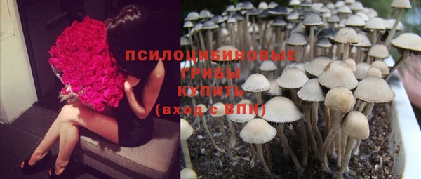 амф Балабаново