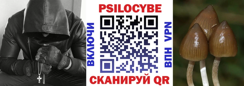 Галлюциногенные грибы Psilocybe  как найти наркотики  Верхняя Пышма 