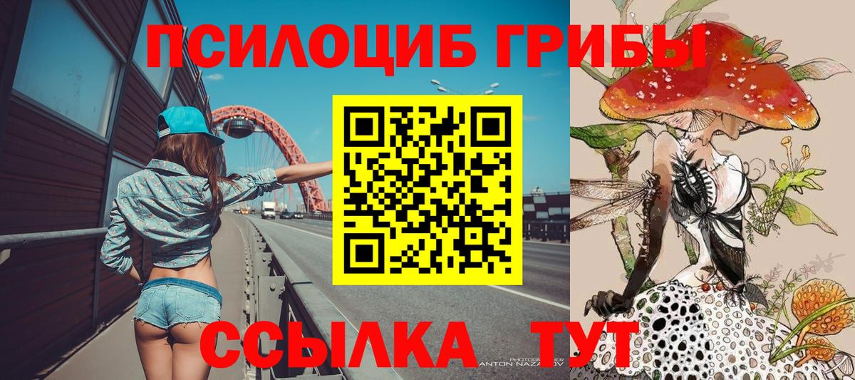 Верхняя Пышма  Псилоцибиновые грибы Cubensis  Псилоцибиновые грибы Cubensis  Вход с VPN 