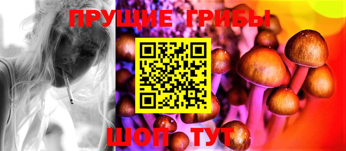 Псилоцибиновые грибы Psilocybine cubensis  Верхняя Пышма 